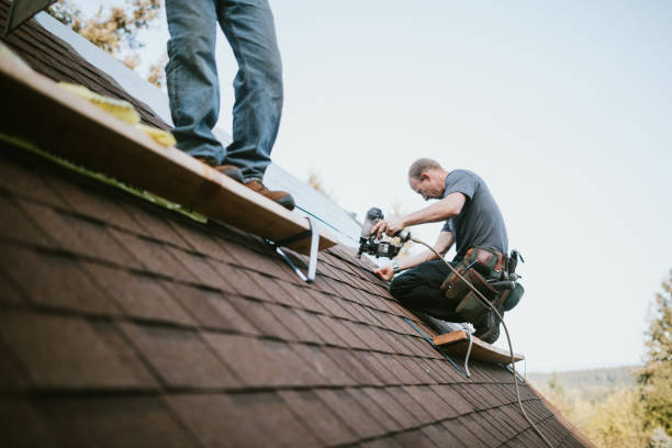 Quick and Trustworthy Emergency Roof Repair Services in Brainerd, MN